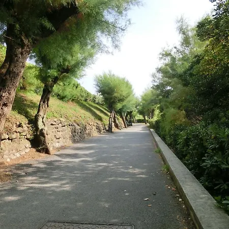 Golf Regina * 비아히쯔